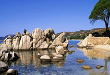 如何免费观看欧洲杯决赛直播？这份实用指南请查收